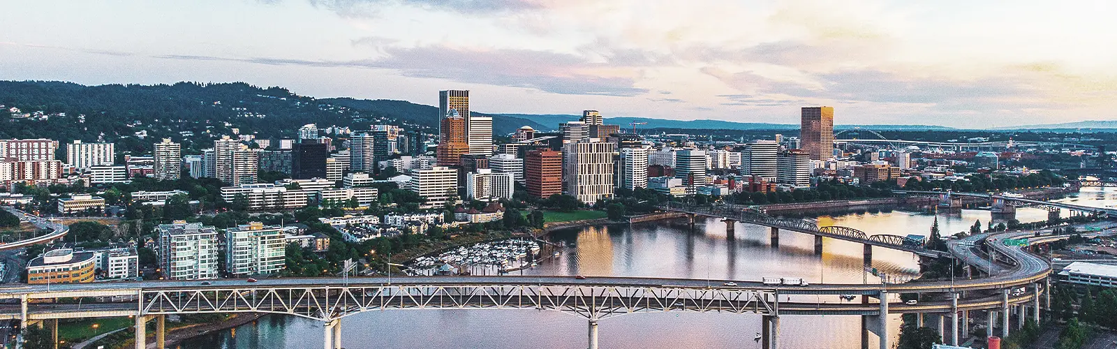Portland and SW Washington skyline